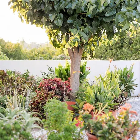 Bella Natura Afantou