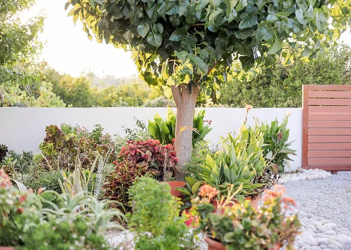 Bella Natura أفانتو